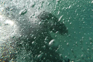 Ertrinkungsstatistik